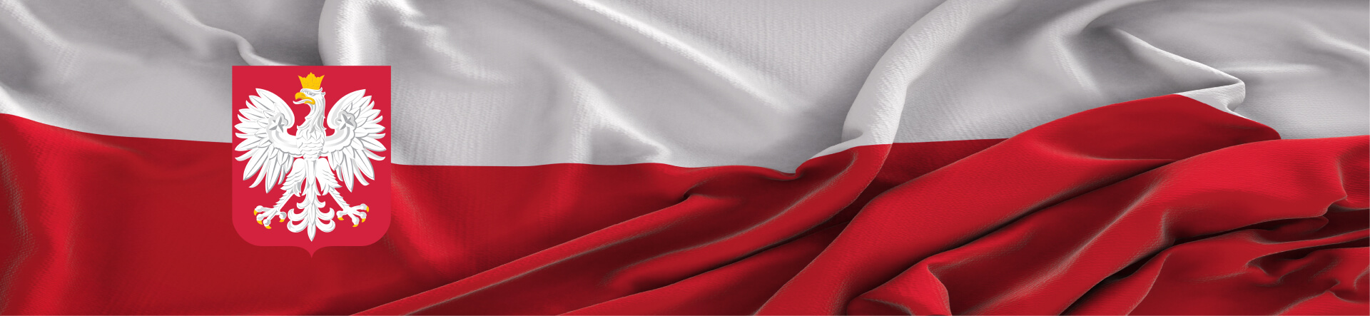 tło bip